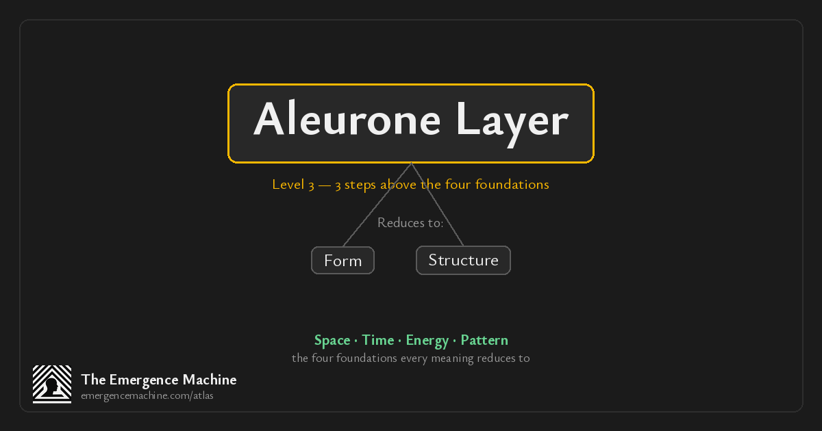 What is the meaning of Aleurone Layer? — The Emergence Machine