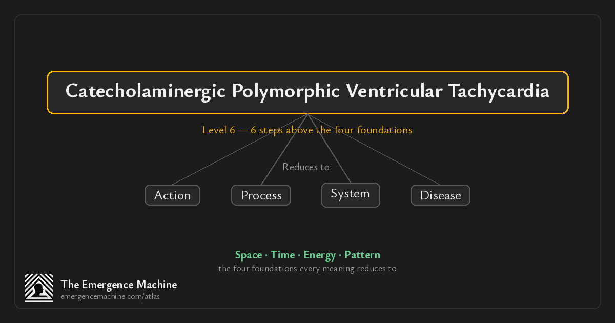What is the meaning of Catecholaminergic Polymorphic Ventricular ...