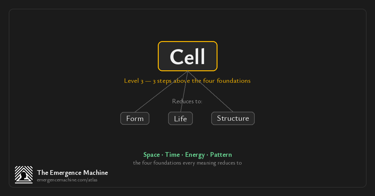 Tech Term Cells What is the meaning of Cell? — The Emergence Machine