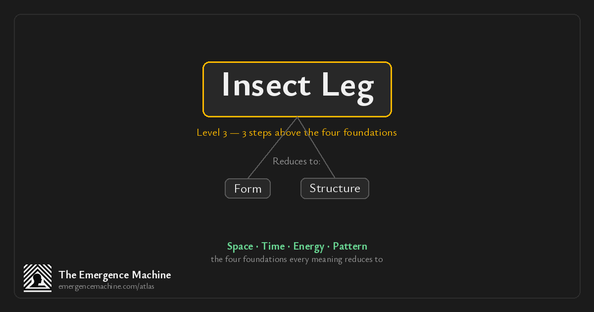 What is the meaning of Insect Leg? — The Emergence Machine