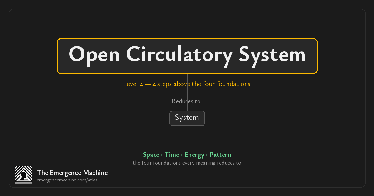 Open Circular System What is the meaning of Open Circulatory System? — The Emergence Machine